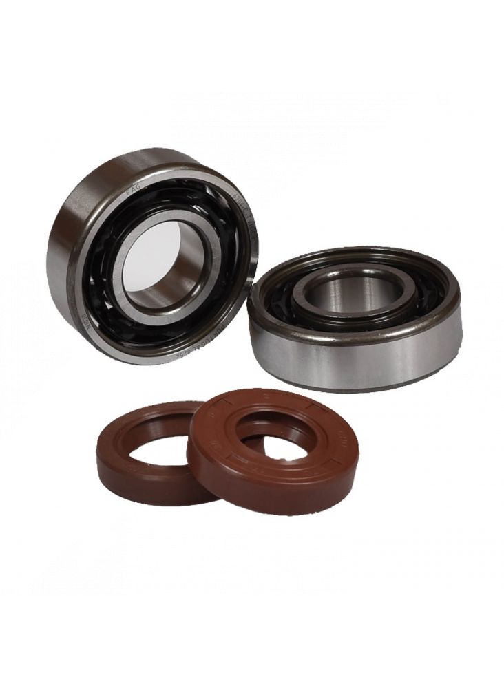 Kit Roulements C3 + Joints Spi Viton AM6 - MVT 6204