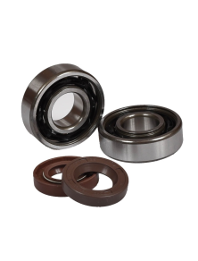 Kit Roulements C4 + Joints Spi Viton DERBI E2 E3 E4 - MVT