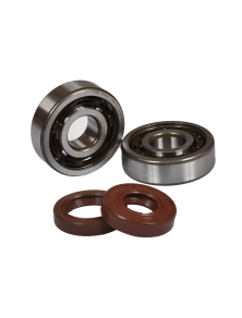 Kit Roulements C3 + Joints Spi Viton AM6 - MVT 6303