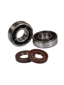 MVT RS6 - KIT ROULEMENTS C3 / JOINTS SPI VITON S-RACE DERBI SENDA