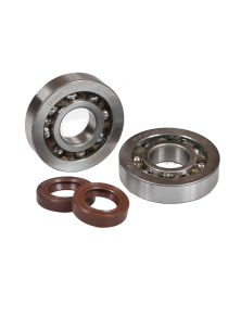 MVT RS7 - KIT ROULEMENTS C3 POLYAMIDE / JOINTS SPI VITON S-RACE PIAGGIO SCOOTER