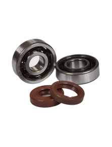 MVT RS8 - KIT ROULEMENTS C3 / JOINTS SPI VITON S-RACE MINARELLI AM6 SOIES 20 ET 16mm