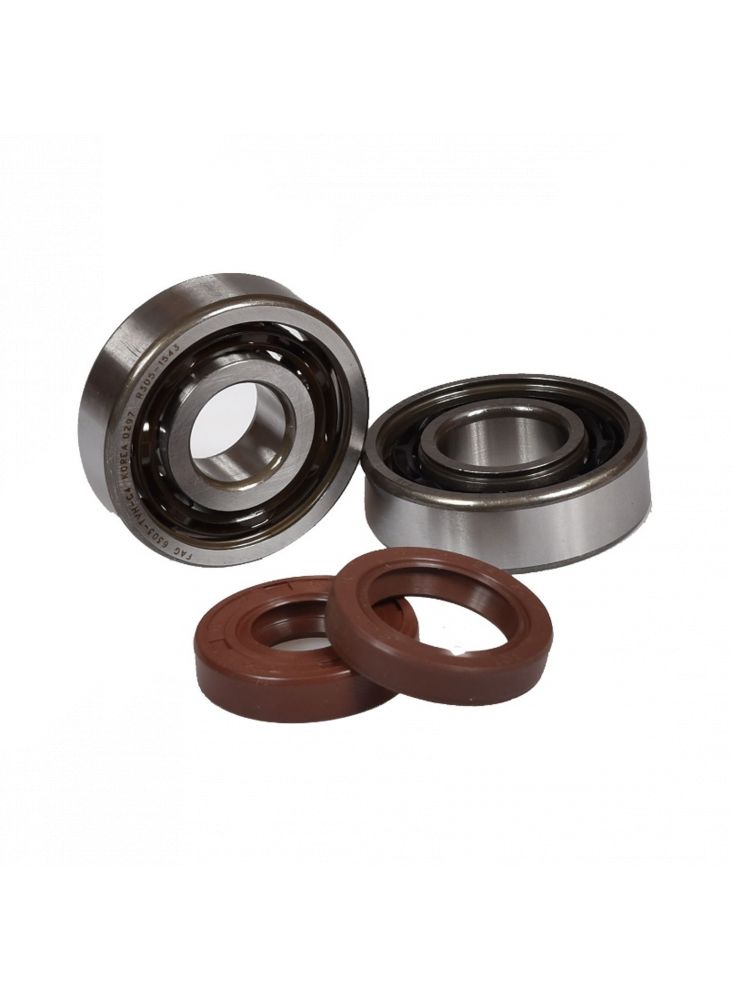 Kit Roulements C3 + Joints Spi Viton AM6 - MVT 6303 + 6204